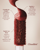 persona petal cloudtint lip gloss stain