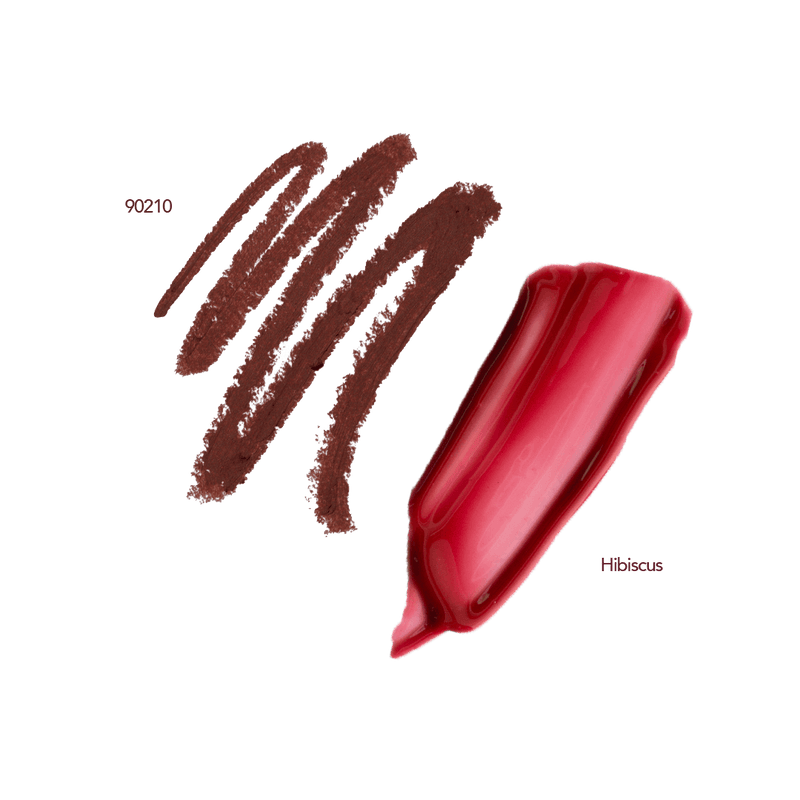 persona 90210 lip liner and hibiscus lip gloss swatches